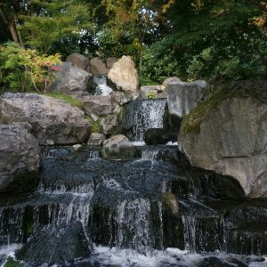 image-19